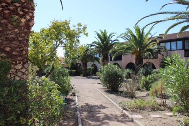 Appartement Saint Cyprien Plage 6 Couchages Ngoại thất bức ảnh